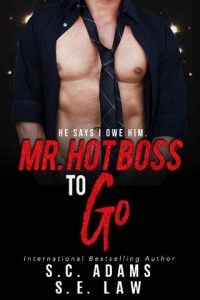 Mr Hot Boss To Go A Forbidden Romance Read Online S E Law Read